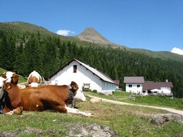 The Malghe in the Asiago area