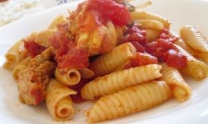 Castellane pasta with grouper and tomato sauce