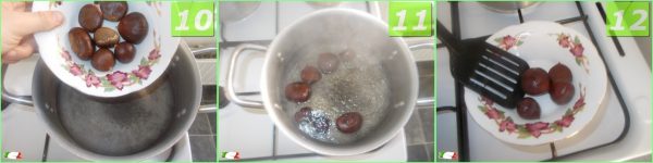 chestnut minestra 4