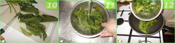 Tortellini spinach and ricotta 4