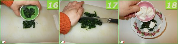 Tortellini spinach and ricotta 6