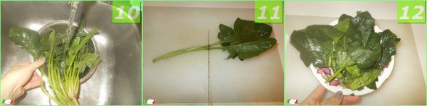 Spinach ravioli 4